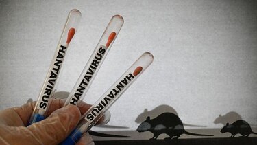 ‘Somos personas, no solo noticia’: el clamor de los pasajeros atrapados en el crucero afectado por el hantavirus