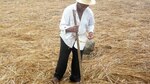 Falta de lluvias impide siembra de cultivos en la región de Azuero