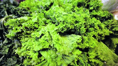 Retienen carga de lechuga