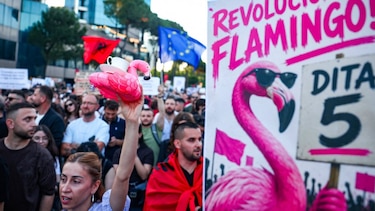 La revolución de los flamencos: las protestas en Albania contra el resort que quiere construir Ivanka Trump
