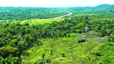 Invasiones, minería ilegal y narcos