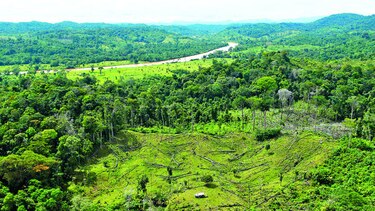 Invasiones, minería ilegal y narcos