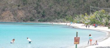 Políticas de Trump interfieren con la preparación de las Islas Vírgenes ante el cambio climático