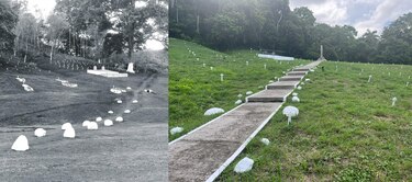 El Cementerio Francés: memoria, olvido y esperanza en Paraíso