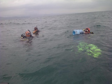 Buzos y pescadores se lanzan a la captura del pez león en Colón