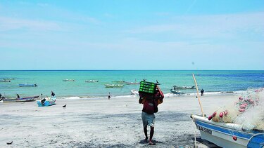 Panamá avanza hacia la pesca sostenible