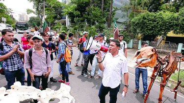 UP evalúa comprar finca en Chepo para laboratorio