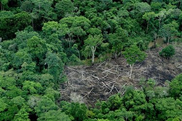 Panamá 2040: ciencia, tecnología y el camino hacia un país exitoso