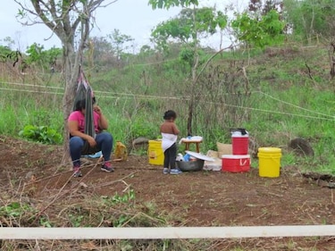Precaristas invaden tierras del BHN en La Chorrera