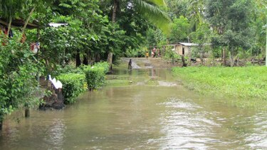 Fuertes lluvias afectan  casas en David, Querévalo y Barú