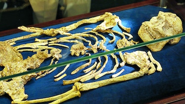 Hallan esqueleto humano de 3.6 millones de años