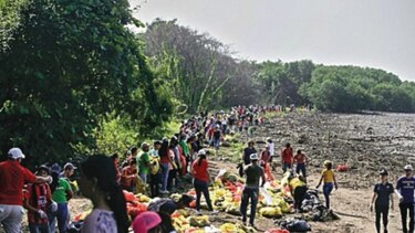 Limpieza de playa en la cinta costera