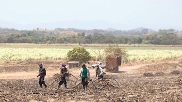 Definen plan para agro en Azuero