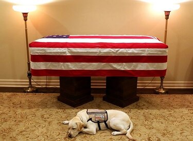 El fiel perro de Bush lo acompaña en su último viaje a Washington
