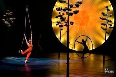 Muere empleado del Cirque du Soleil durante ensayo de la obra Luzia