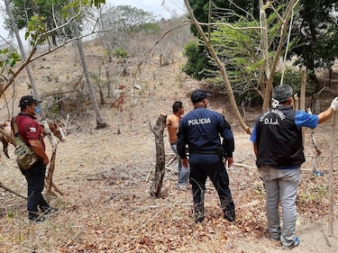 Ganaderos piden a Gobierno reforzar vigilancia en 40 áreas del país