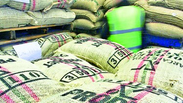 Colombia renovará cultivos de café