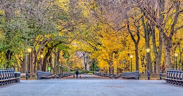 Suspenden paseos en carruajes tirados por caballos en Central Park tras muerte de turista