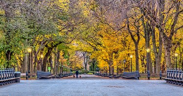 Parques urbanos, aulas de la naturaleza en las ciudades