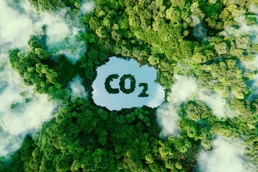 Millicom Tigo, líder en su región por su actuación ante el cambio climático según el CDP