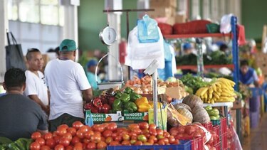 Recuperan frutas y vegetales de Merca
