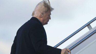¿Cuánto cabello cubre la cabeza de Donald Trump?, no mucho