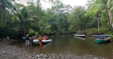 Consulta sobre los manglares de Chiriquí entra en su recta final