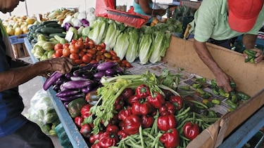 Hay menos yuca, leche y pescado que hace 10 años