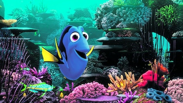 Dory será criada en cautiverio