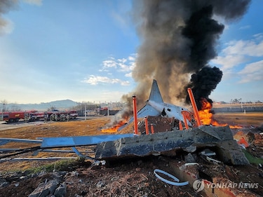 Impacto con aves en los cielos: cómo una colisión puede destruir un avión