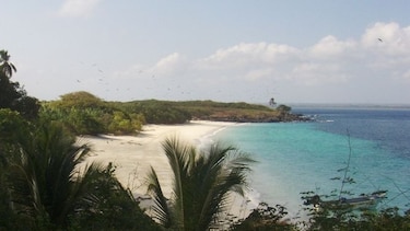 Piden conocer si hay más bombas en isla Iguana