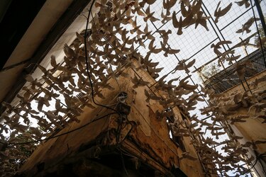 Palomas de cerámica en Damasco para no olvidar la guerra