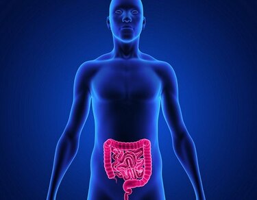 10 mitos acerca de la incontinencia fecal