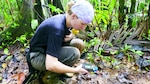 El carismático tapir, en peligro de extinción
