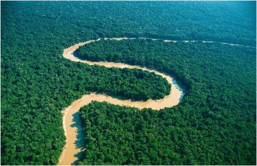 La Amazonía brasileña perdió 5 mil 891 kilómetros cuadrados de bosques en 2013