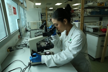 La inversión de 1% del PIB en ciencia no se cumplió