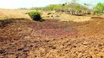 La sequía causa estragos en Azuero