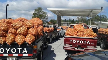 Cebolla del IMA, en riesgo de dañarse