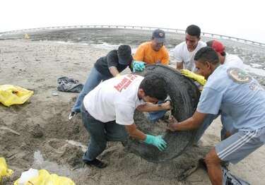 En alerta están los ambientalistas por daños en las playas