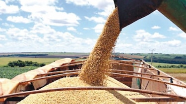 Argentina promueve en China productos de harina de soja