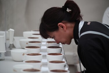 Panamá celebra una subasta electrónica con cafés de lujo partiendo de 100 dólares el kilo