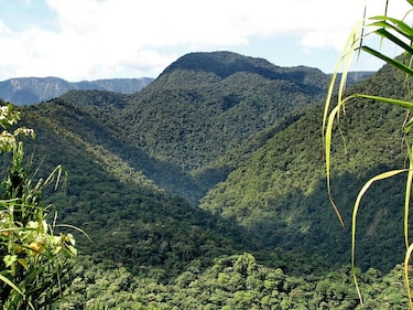 Presidente Solís firma decreto para ampliar Parque Nacional Braulio Carrillo