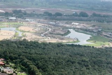 Mortandad de peces en bahía de Panamá