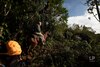 Cerro Chucantí: en busca de ‘Greta Thunberg’ y de los tesoros de las tierras altas del Darién