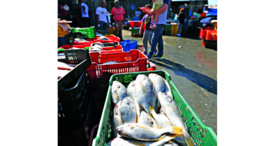 Improvisada venta de mariscos en la calle