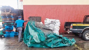 Investigan descarte de arroz