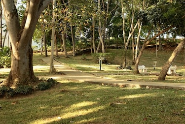 Alcaldía de Panamá pedirá $18 millones para comprar 11 terrenos