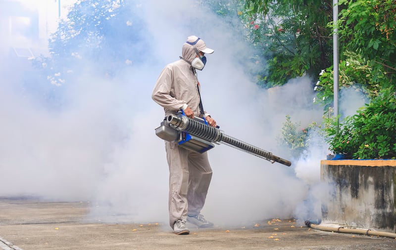 Radiografía del dengue en Panamá: regiones con transmisión oculta de la enfermedad