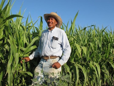 UE propone centrarse más en desafíos que enfrentan agricultores