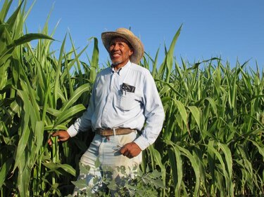 UE propone centrarse más en desafíos que enfrentan agricultores